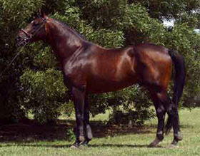 Dimitil de Terlong (1991 - 2011)